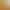 30111781A0100124 OAK Tundra